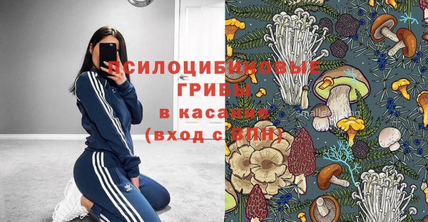 mdpv Пестово