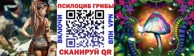 Псилоцибиновые грибы MAGIC MUSHROOMS  Тулун 