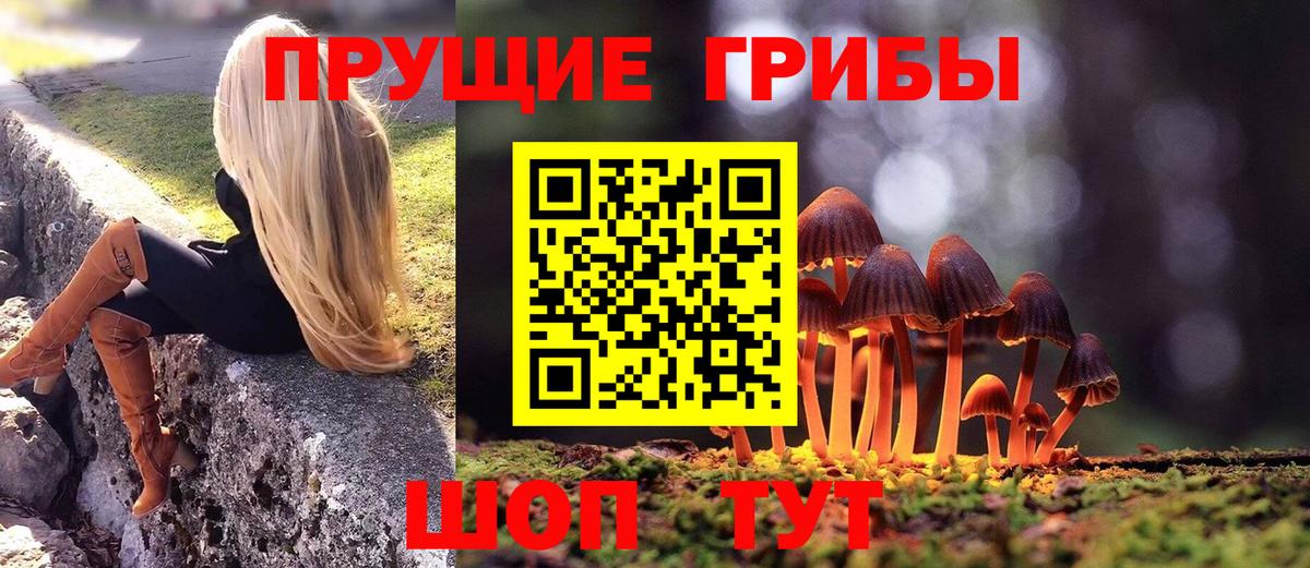 Тулун  Псилоцибиновые грибы прущие грибы  Вход с VPN 