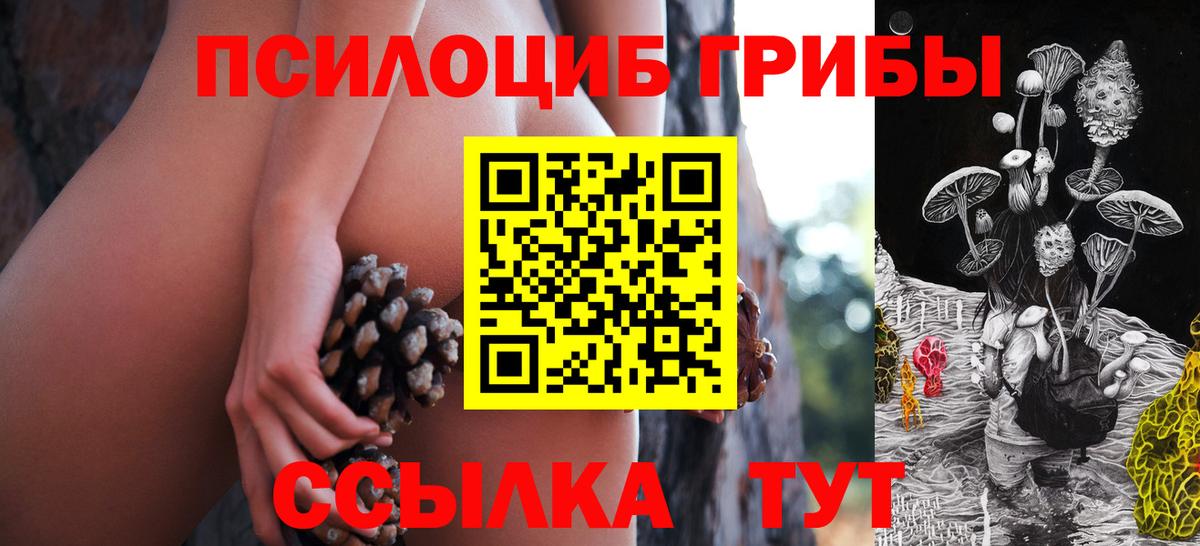 ГАШ Тулун